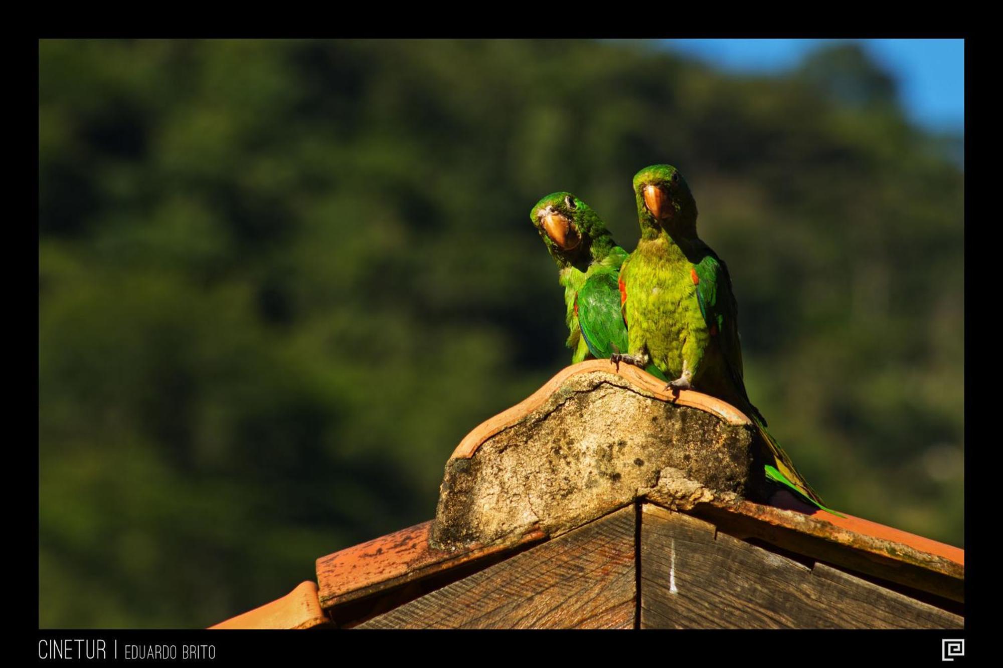 Pousada Paraiso Acu Correas Buitenkant foto